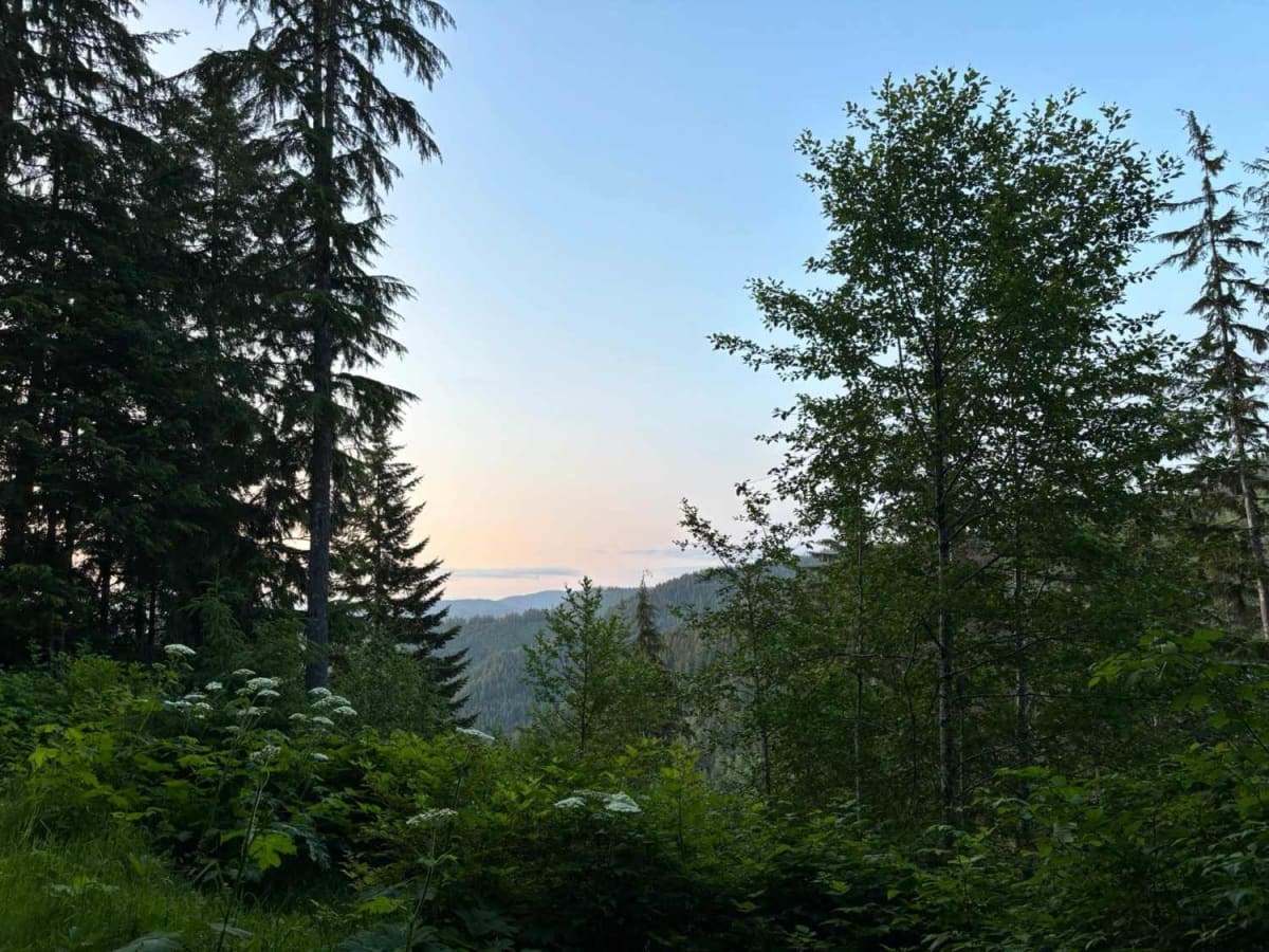 Shiffman Road trail photo