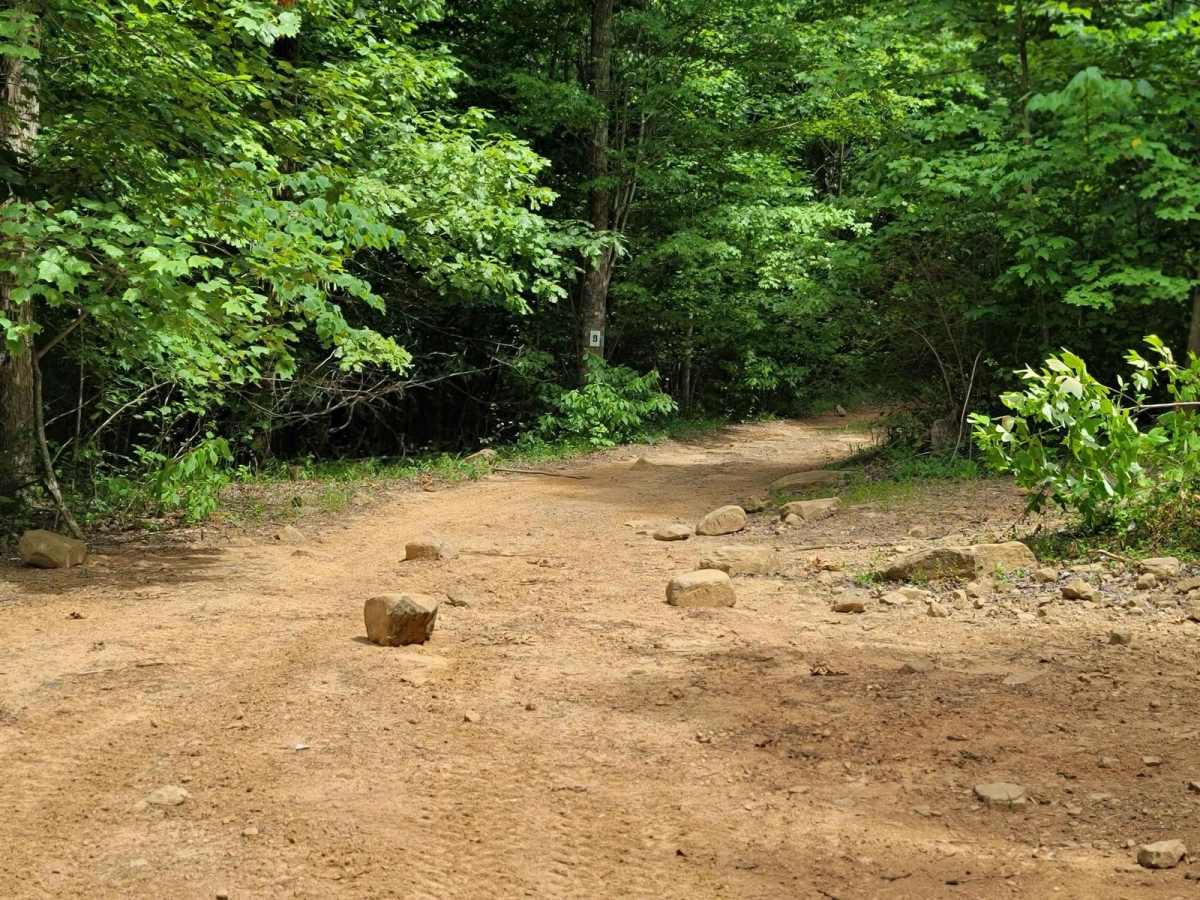 9 - Little Dipper trail photo