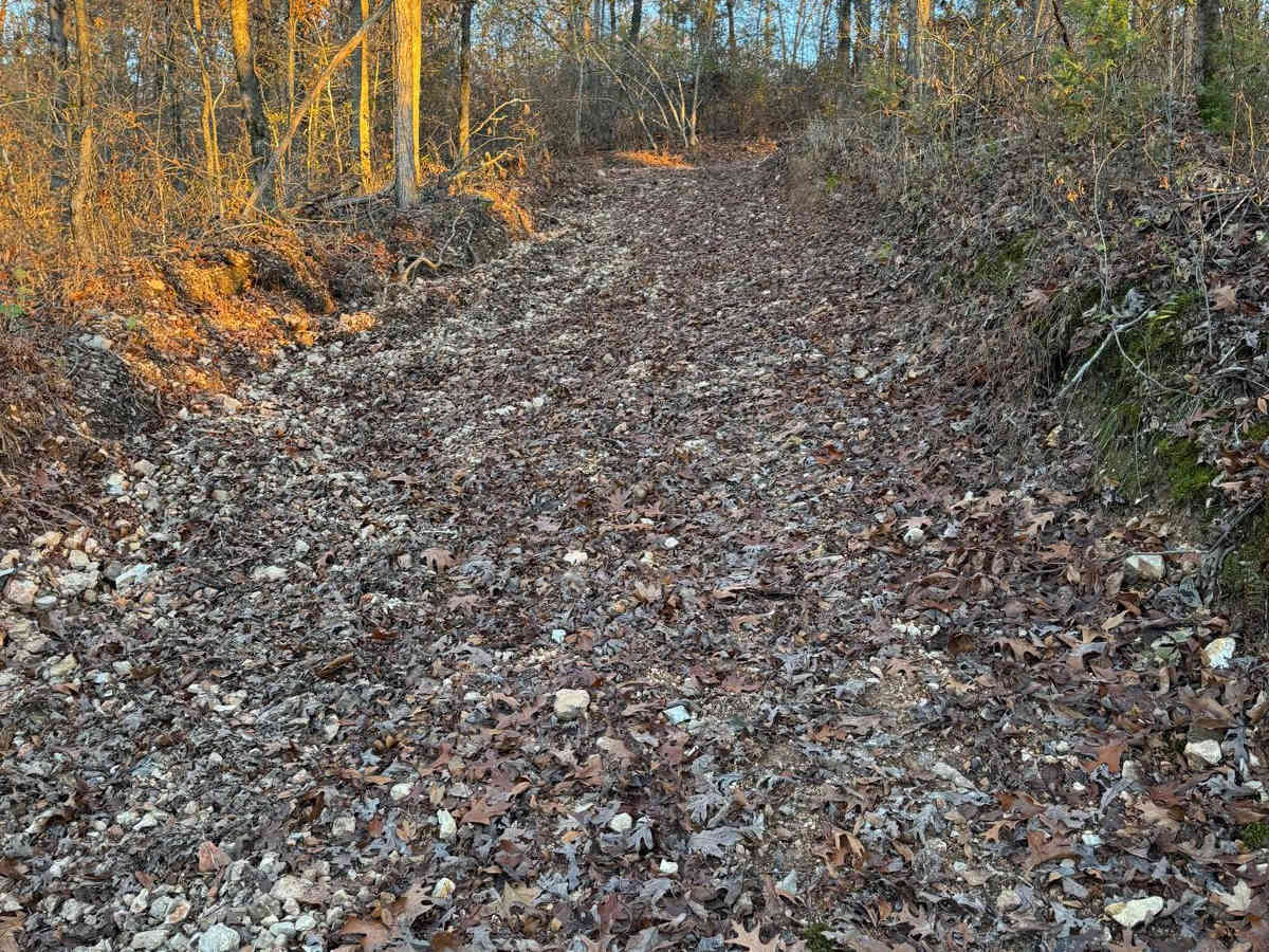 Red 157 photo 2
