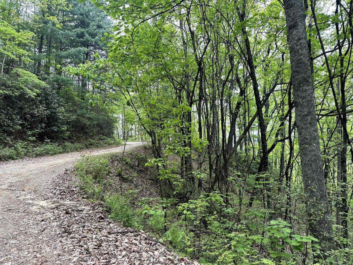 Stamp Ridge photo 3