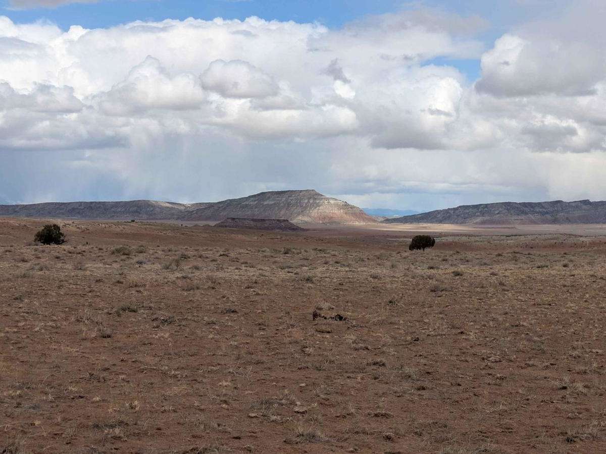 Wedge Overlook Loop 2 (3519) photo 4