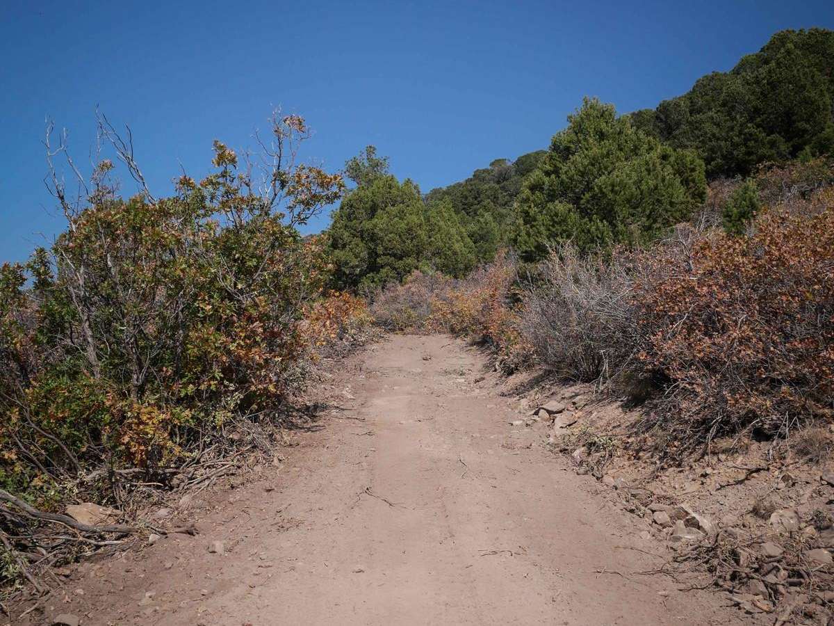 Spring Creek ATV Trail (East) photo 6