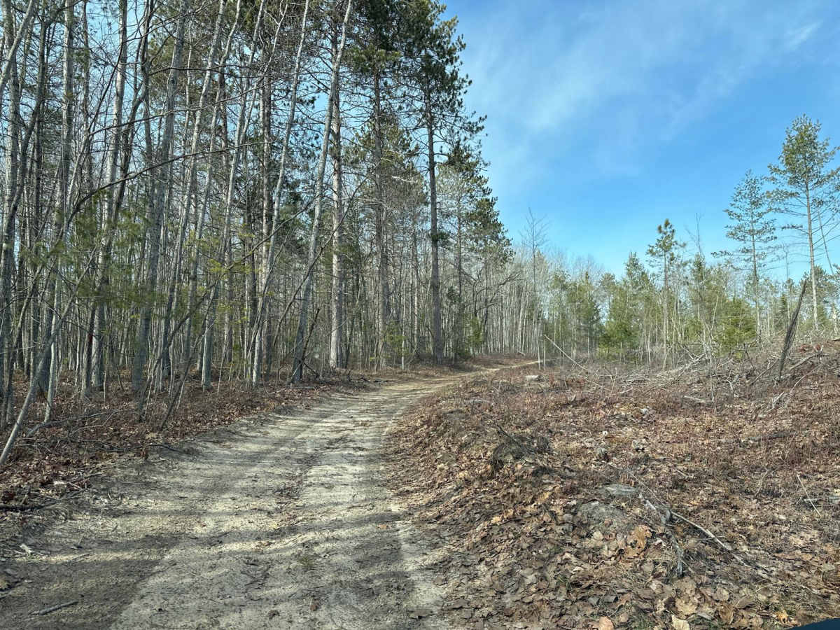 Devils Lake Loop 2 trail photo