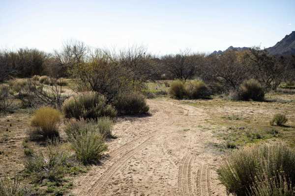Date Creek Foothill