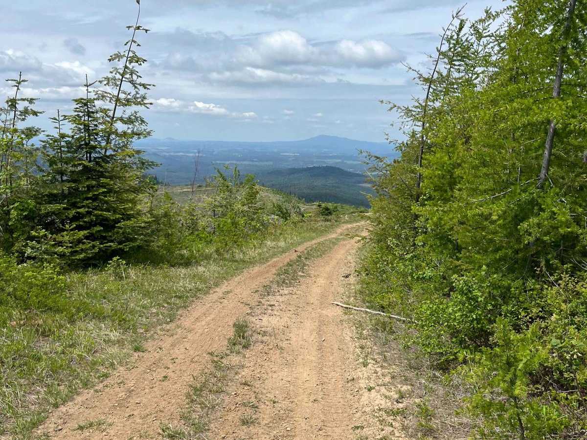 National Forest Development Road 3308 photo 2