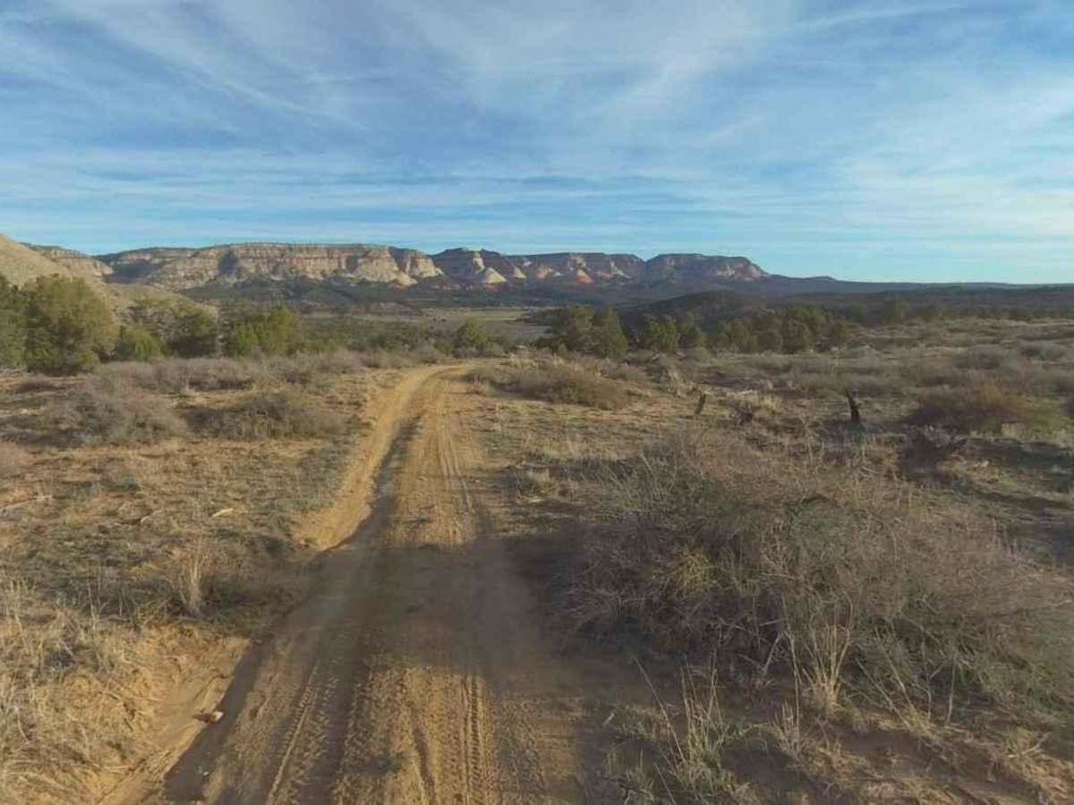 Deer Hollow-K2155 photo 4