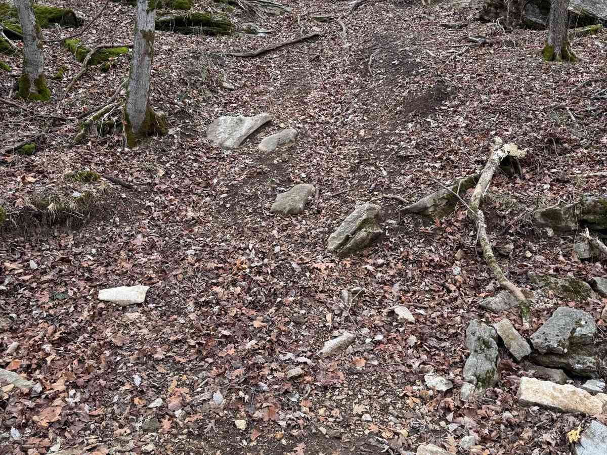 Red 334 trail photo