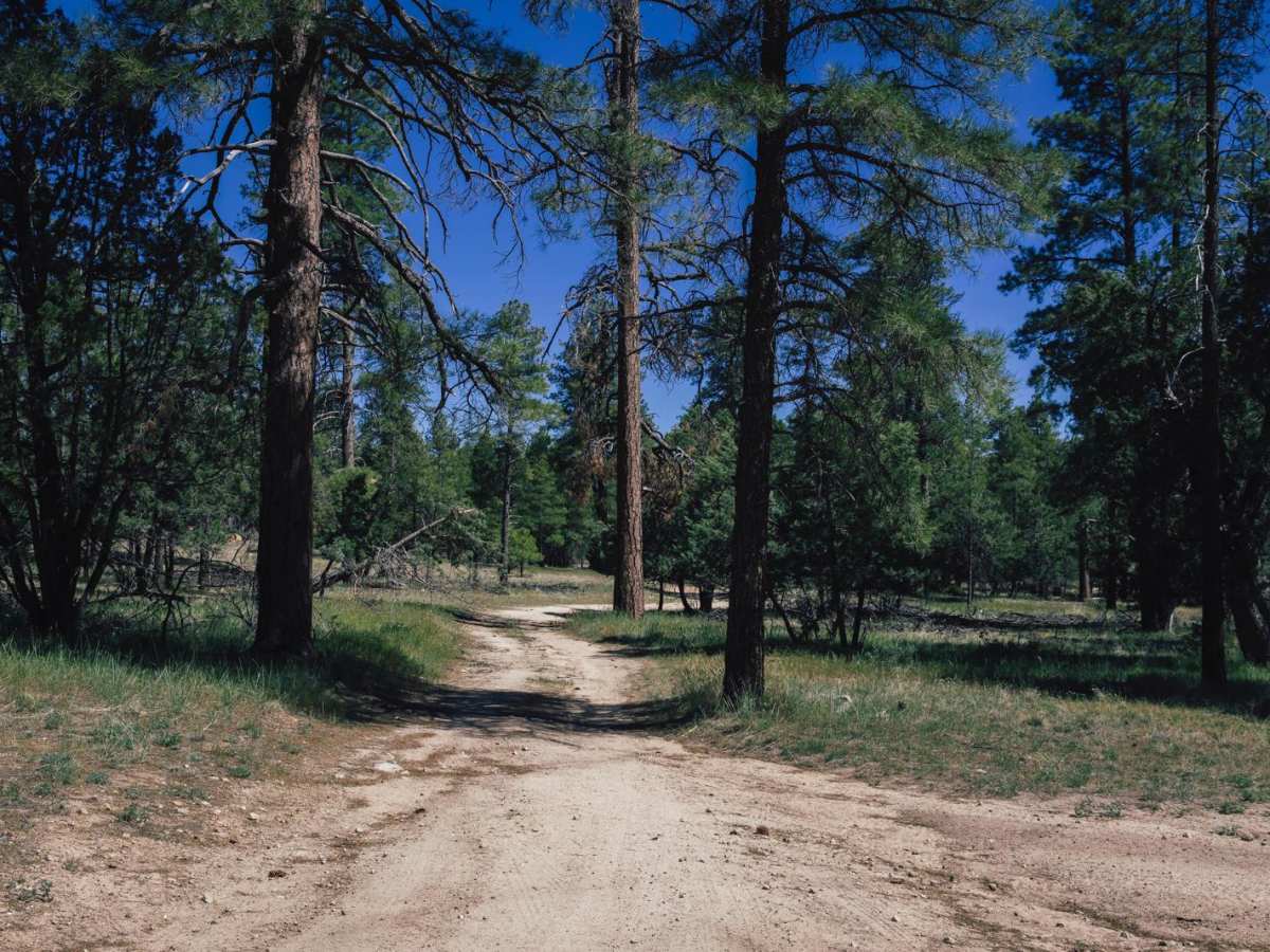 Connell Seep trail photo