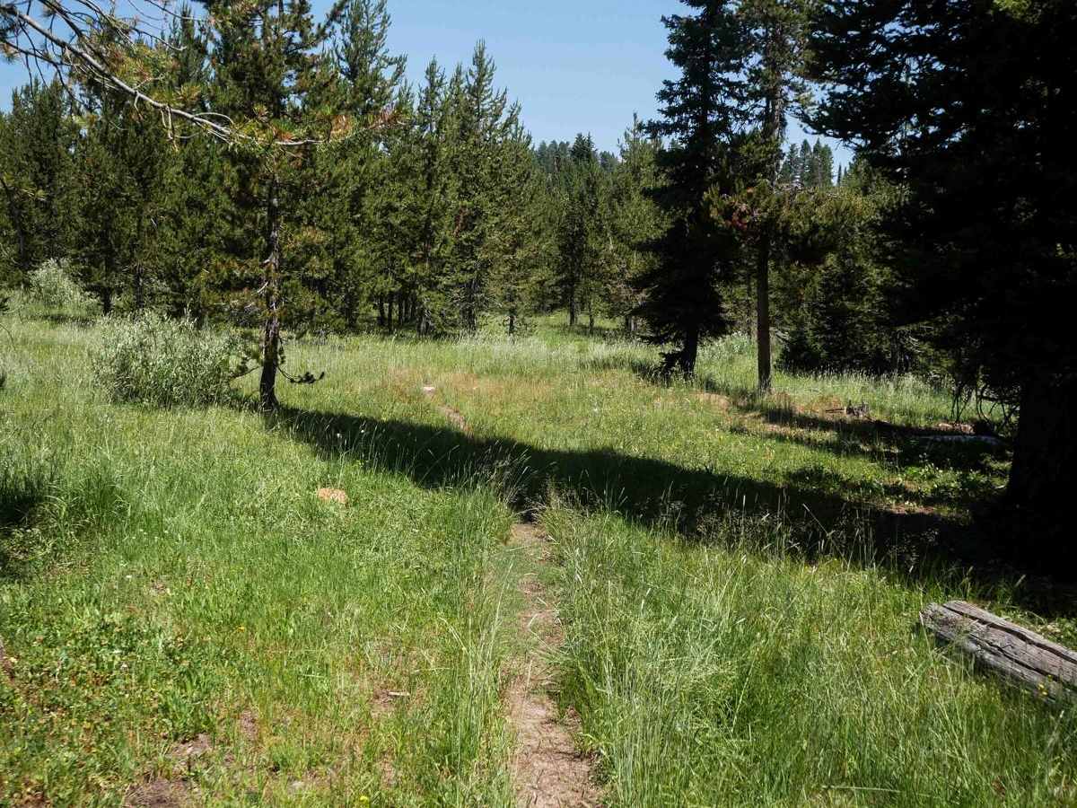 Moonlight Meadow #3404 photo 6
