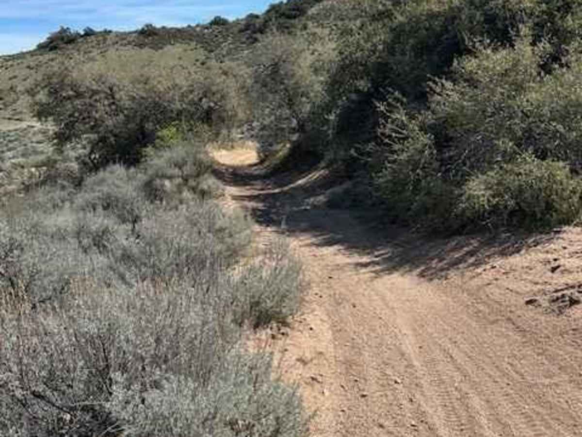 North Roadrunner Trail photo 3