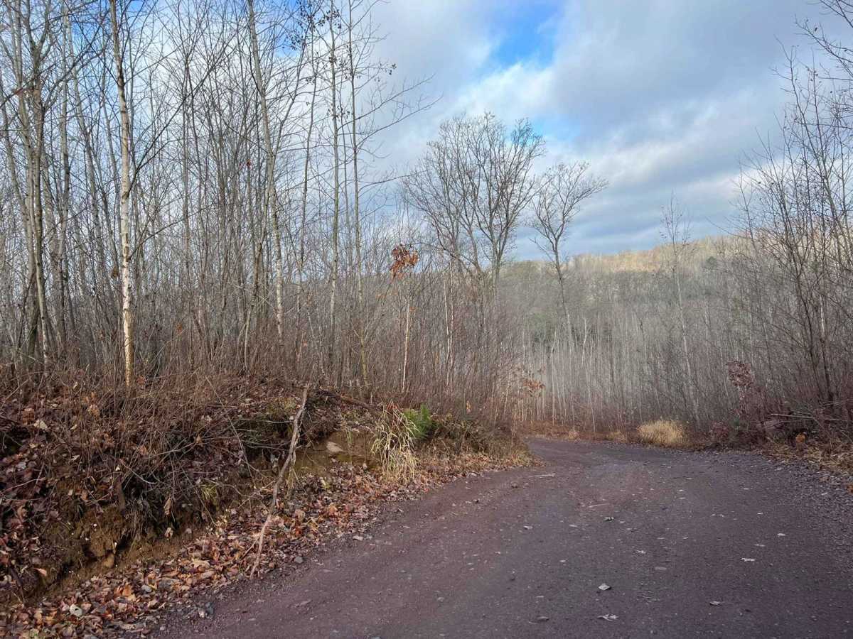 Florence County F15 North photo 5
