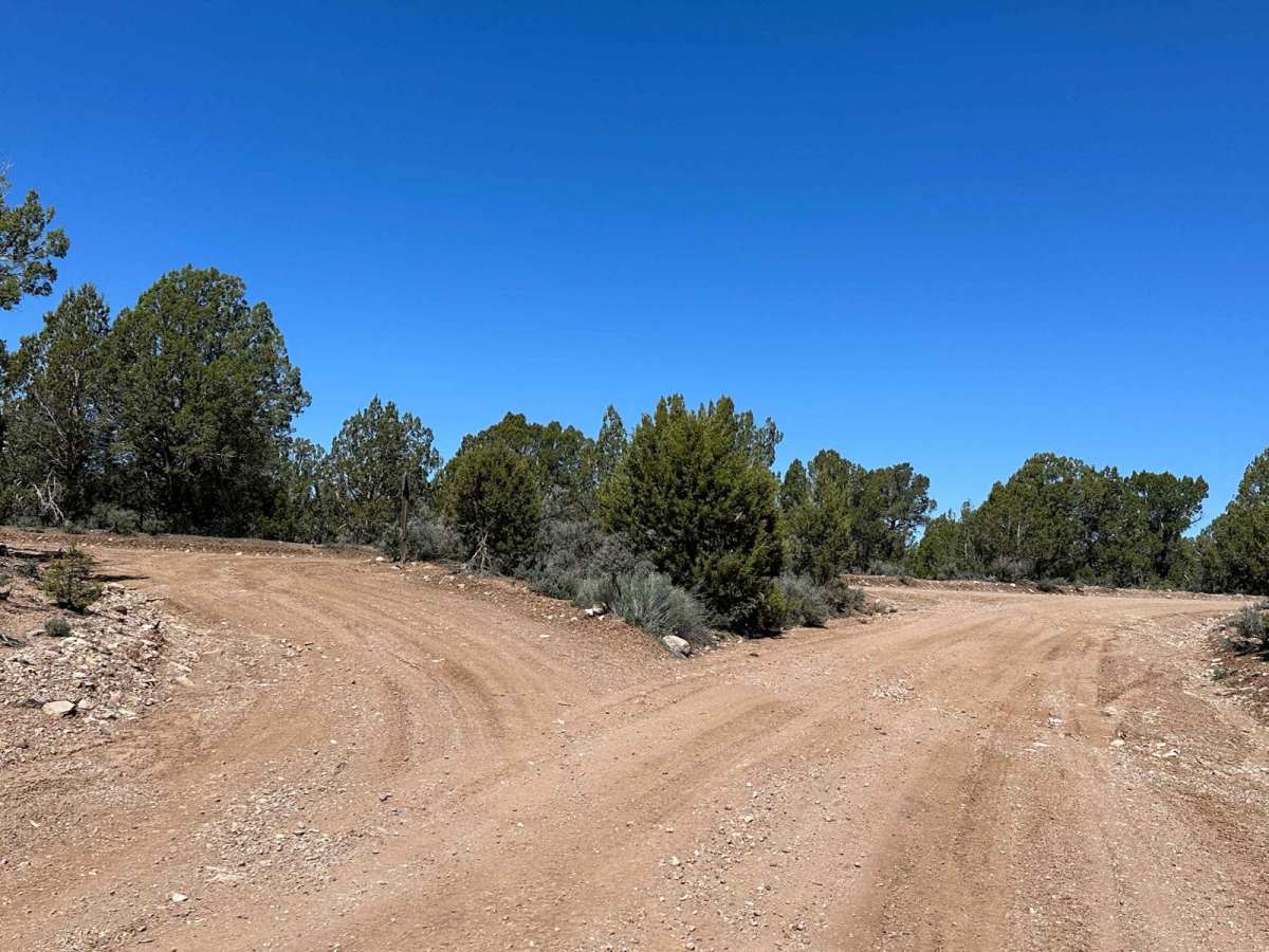 Pine Canyon Dam Road photo 6