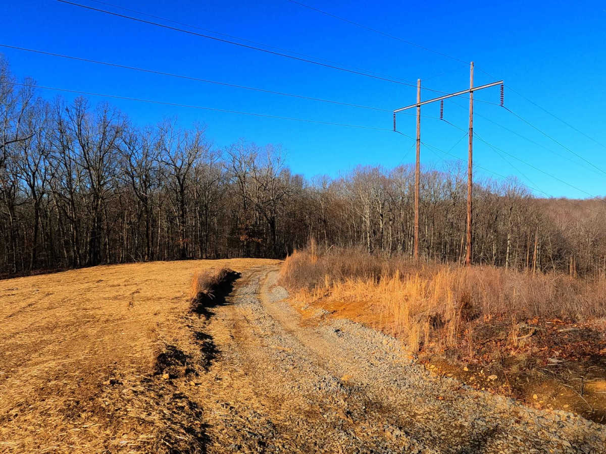 Dodd's Ridge Road - FS 305 photo 4