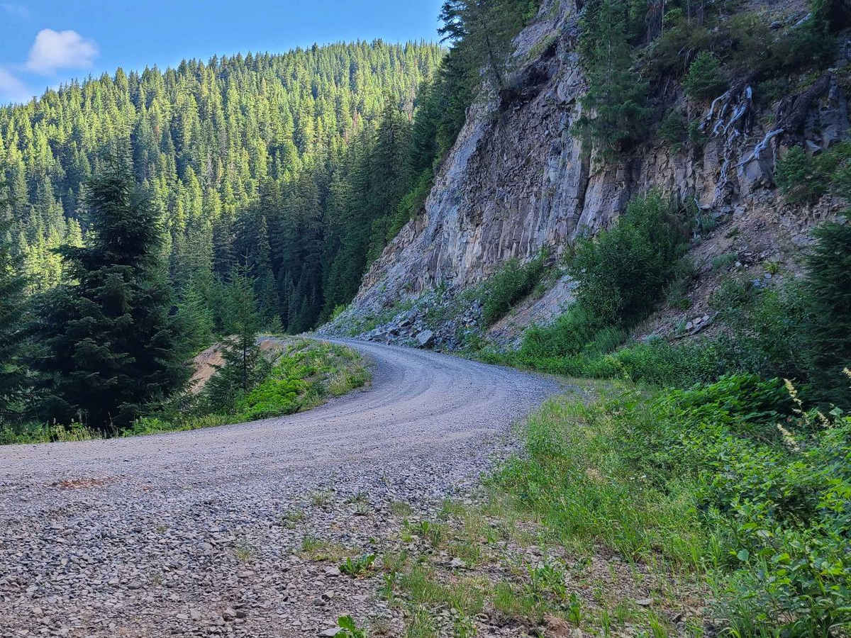 Pioneer Gulch #2149 photo 5