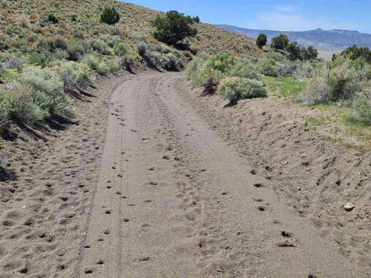 Flint Springs Road trail photo