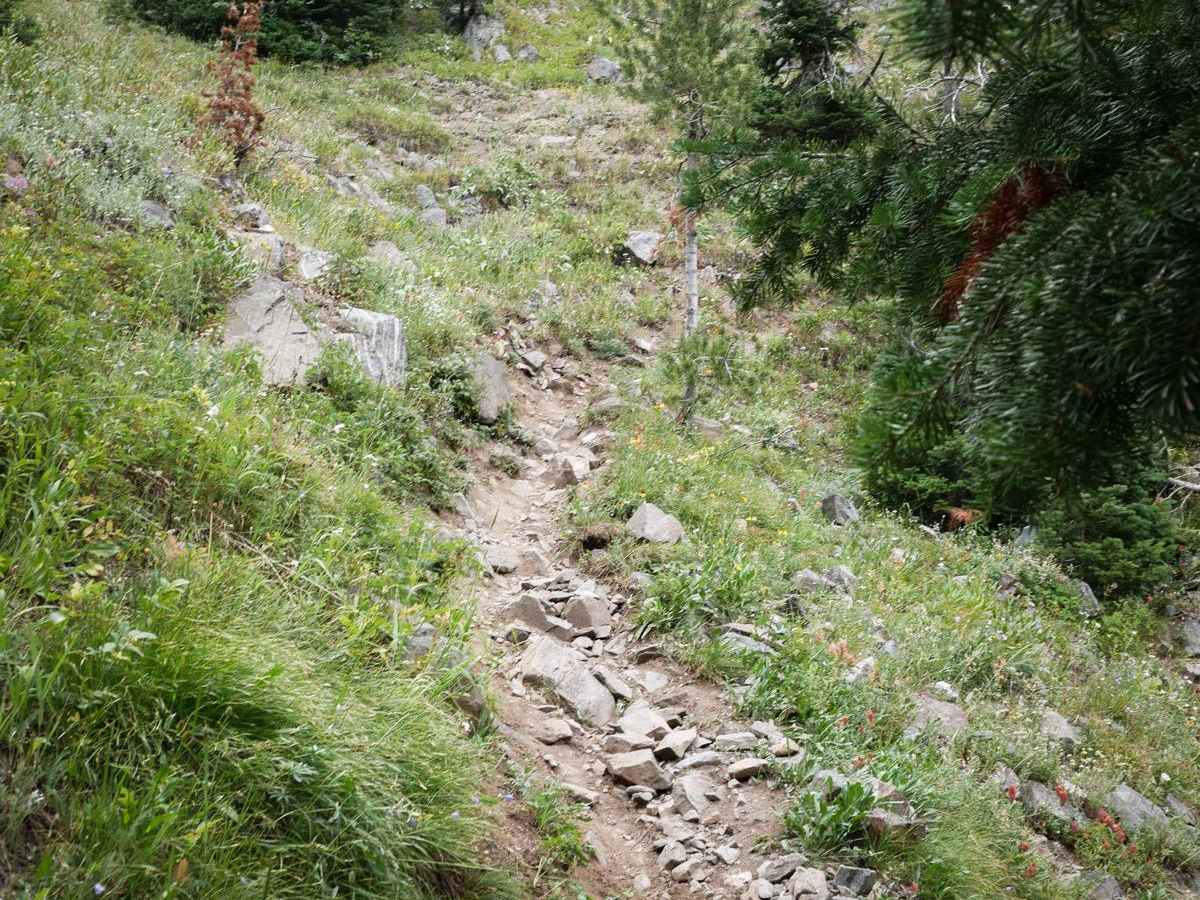 Bridger Foothills photo 3