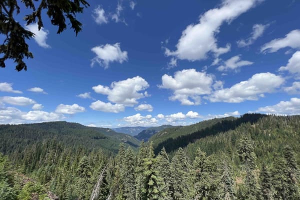 Coal Creek 2133