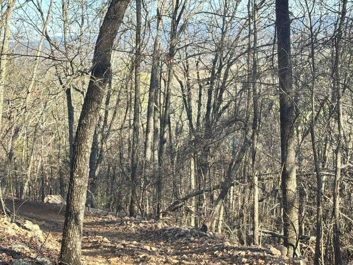 39 trail photo