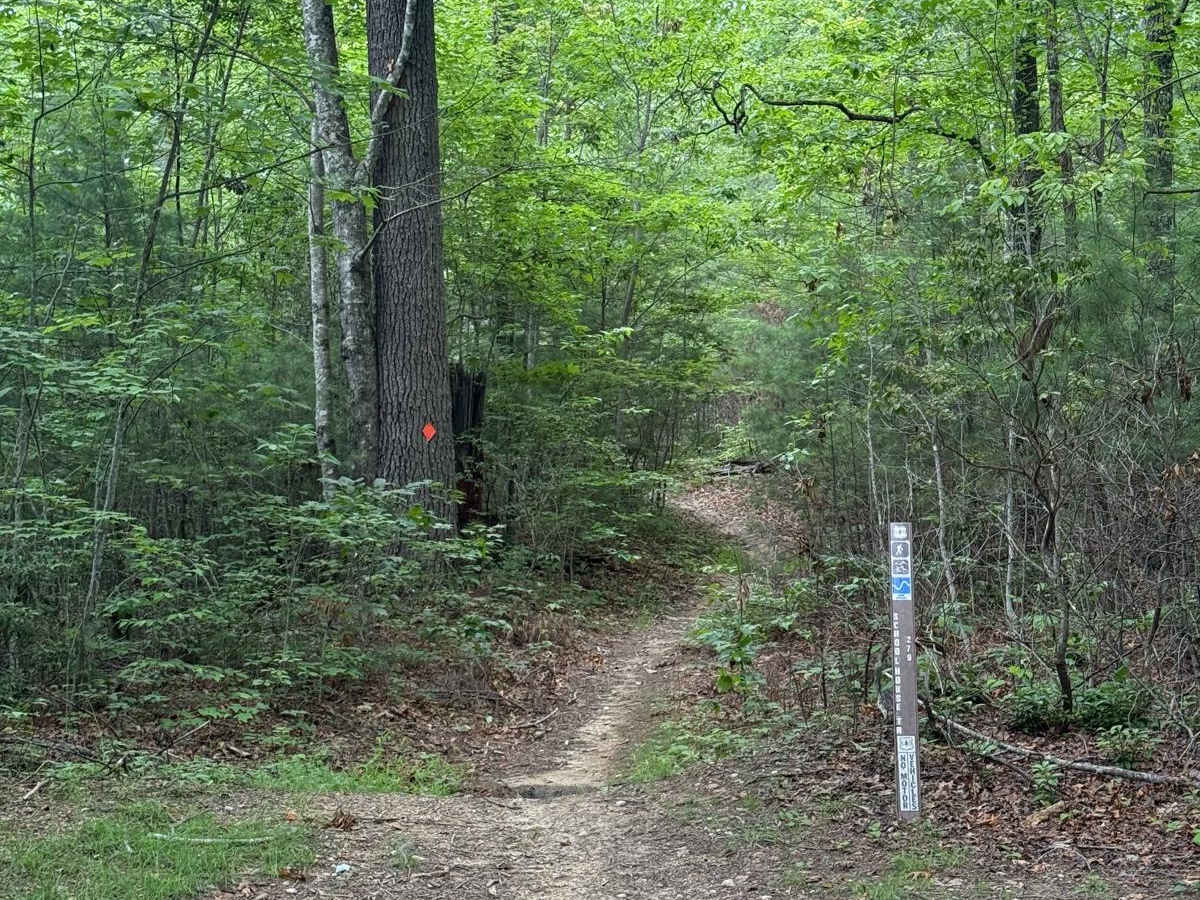 School House Ridge - FS 4068 photo 4