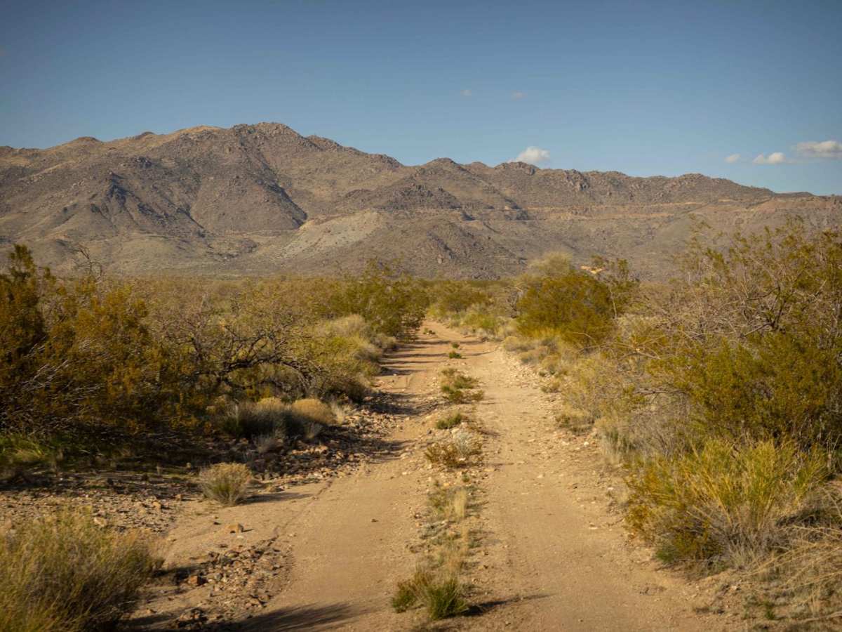 March's Highlight trail photo