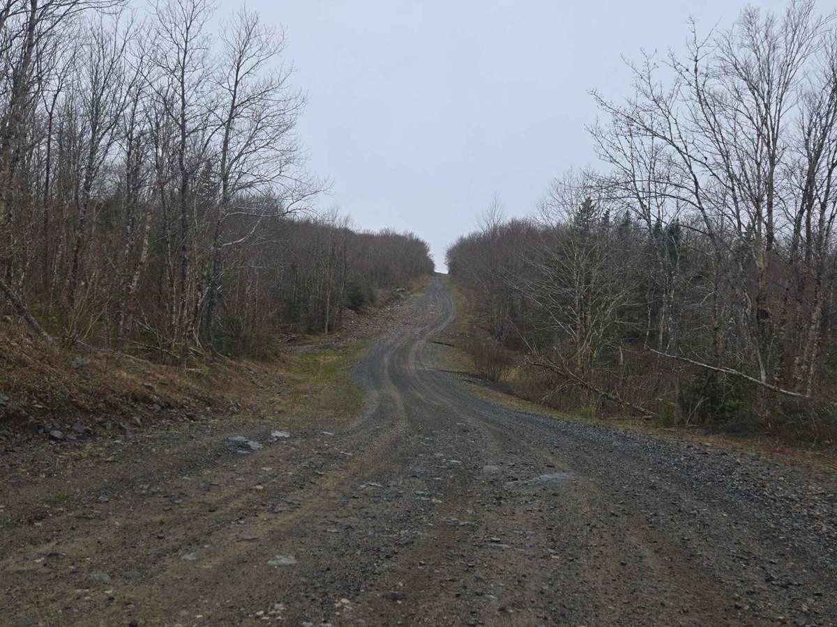 Paterson dam trail photo 4