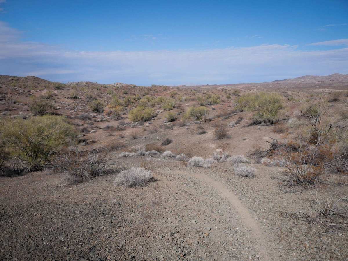 Hn475 photo 2