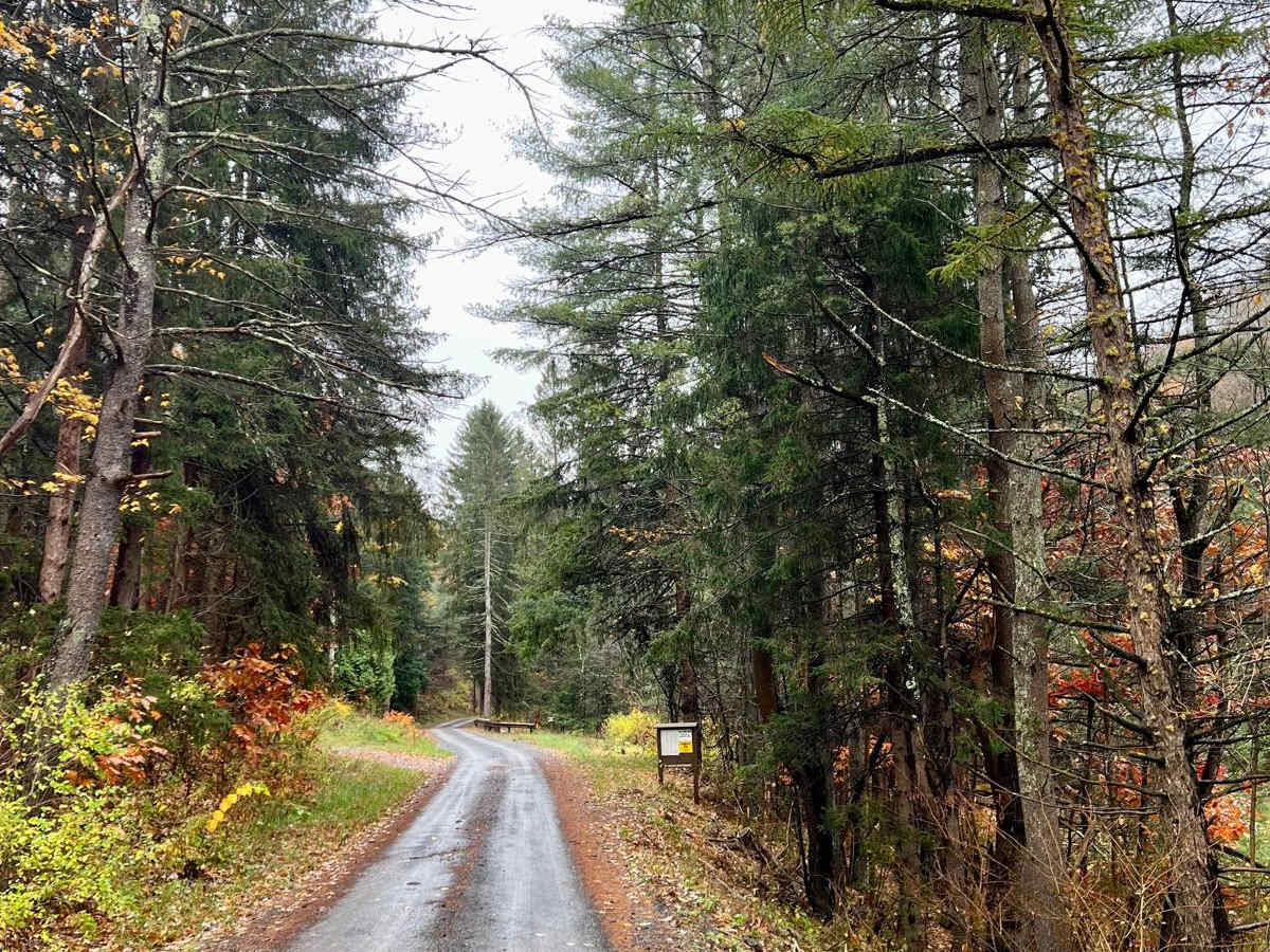Firetower Road photo 3