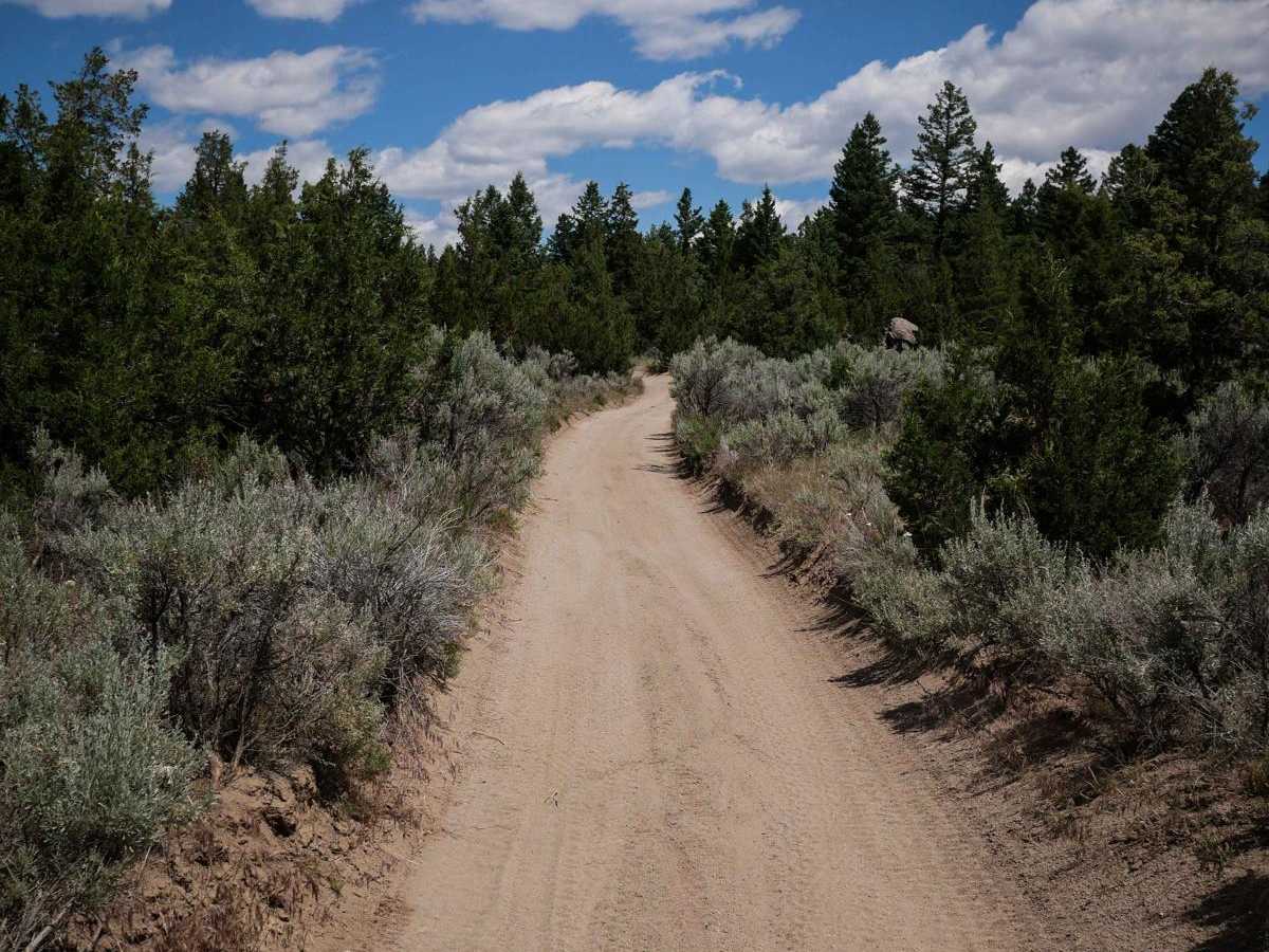 BLM 8 photo 2