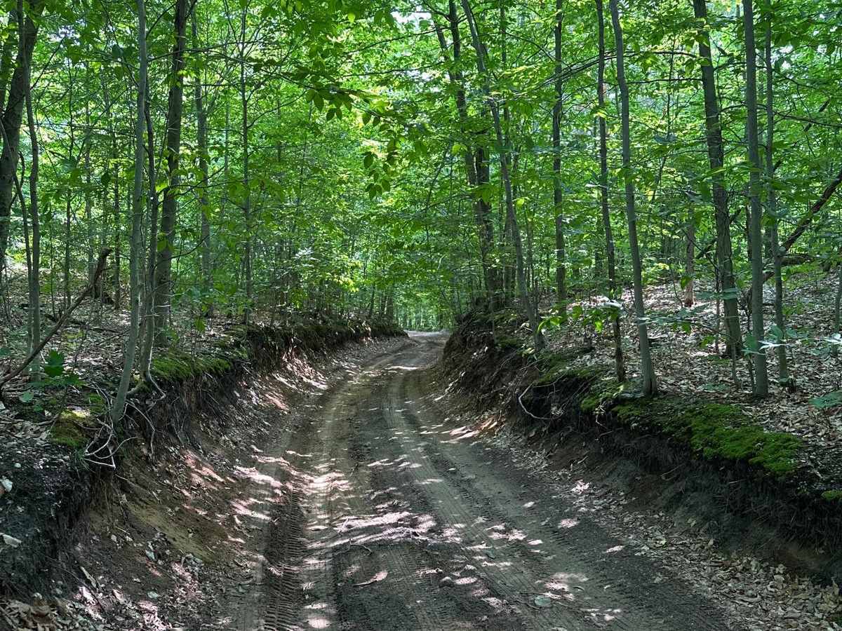 Lost Lake Road photo 3