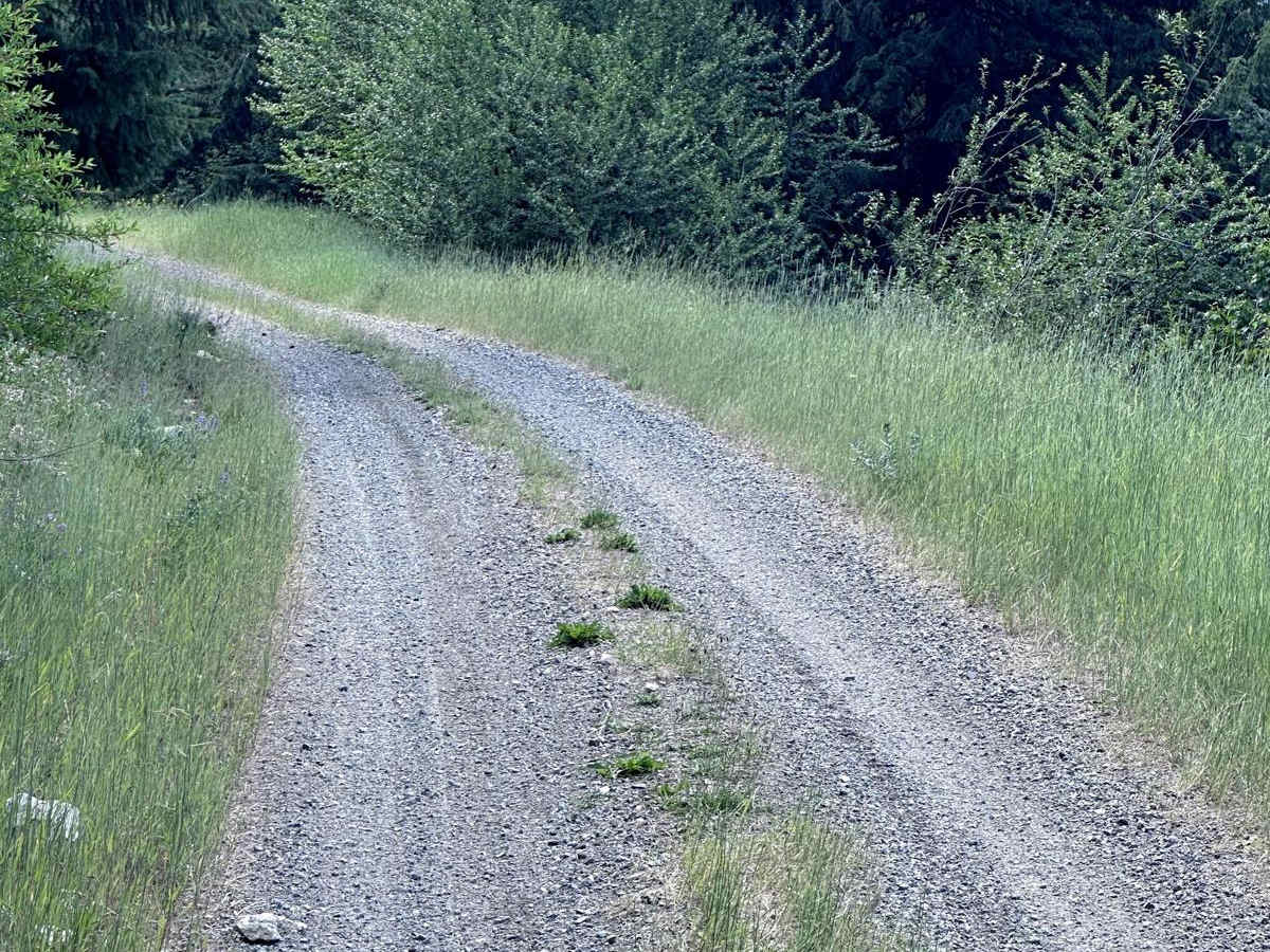Second Creek Road photo 5