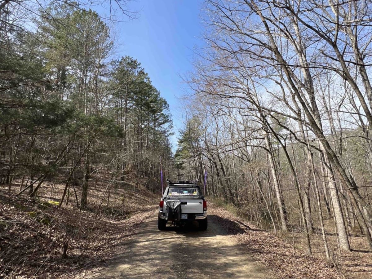 Big Cove Road 739 photo 4
