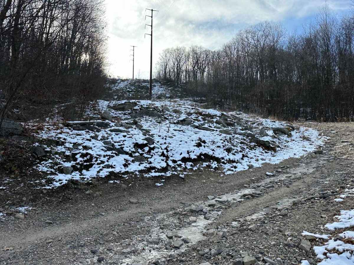 Locust Gap 30 trail photo