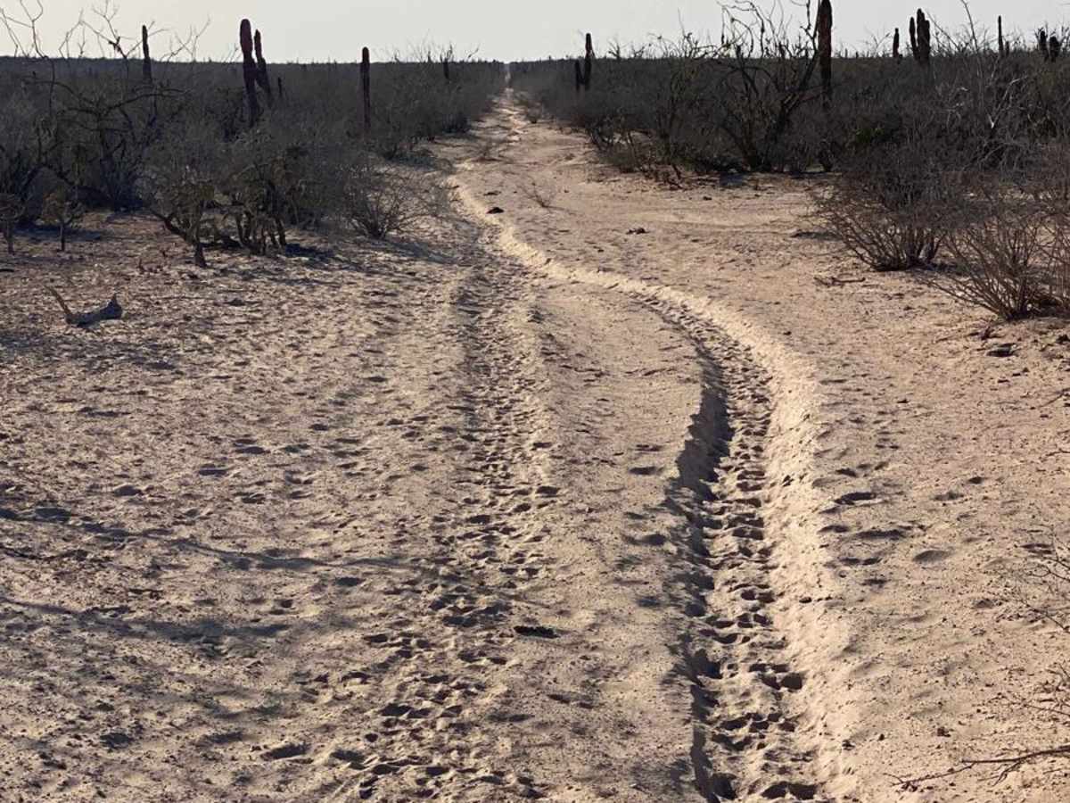 Off Middle Road photo 6