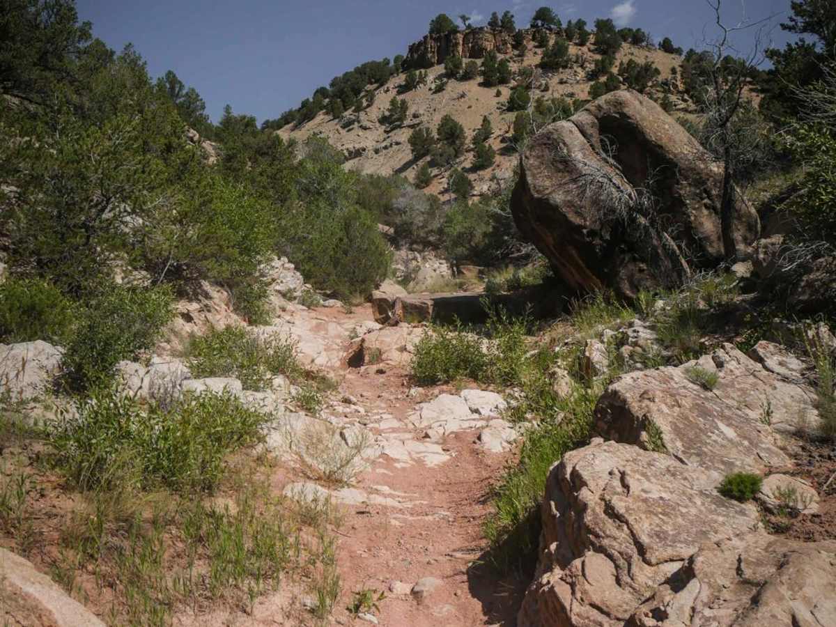 8601B trail photo
