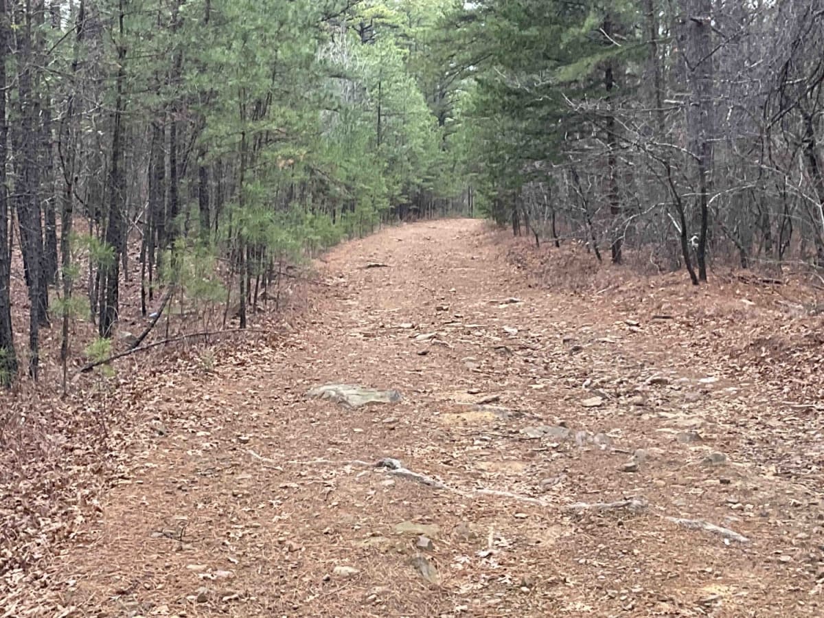 Goldville Trail photo 2