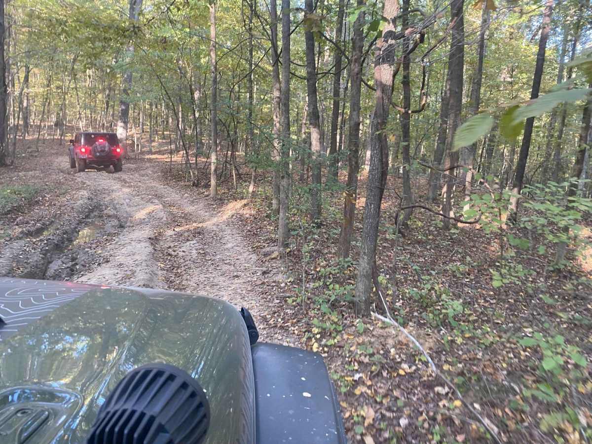 FSR 319 Land Between the Lakes photo 4