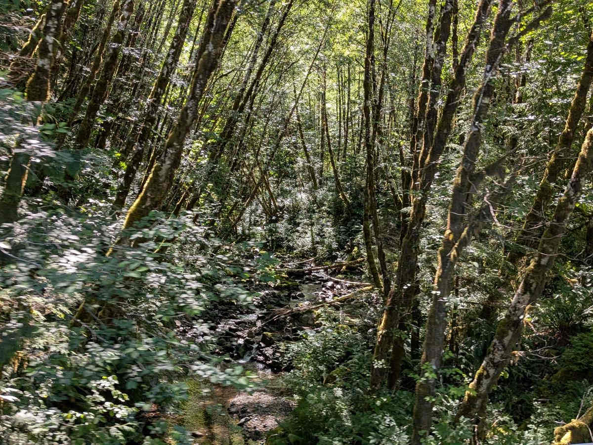 North Shore Main photo 6