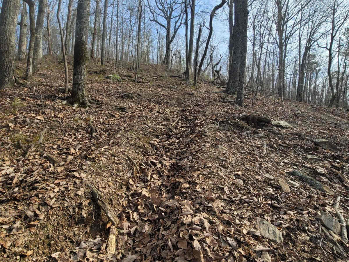 Scenic Overlook Bypass photo 3