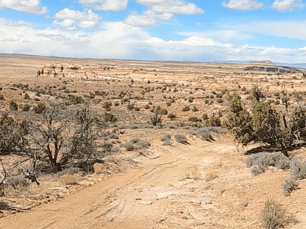 Route D1477 photo 3