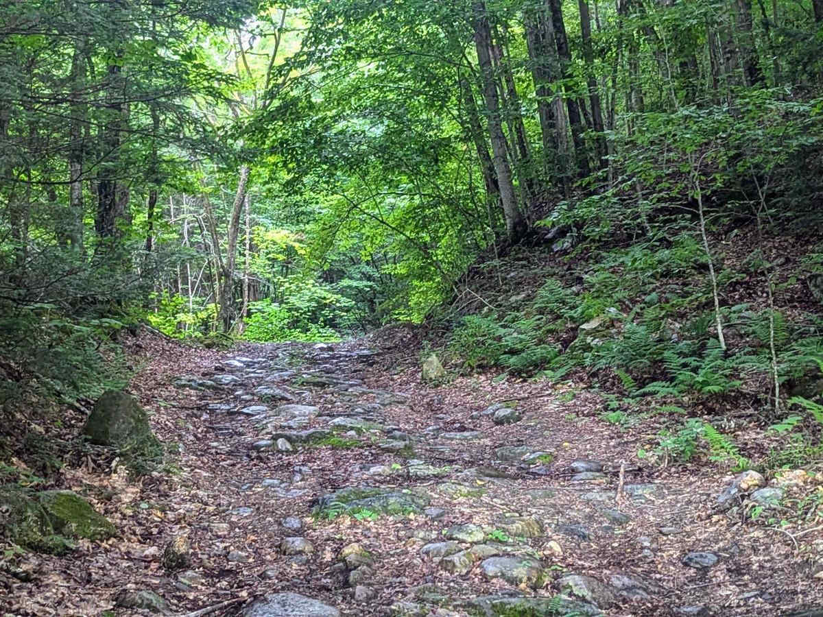 Torrey Mountain Road photo 5