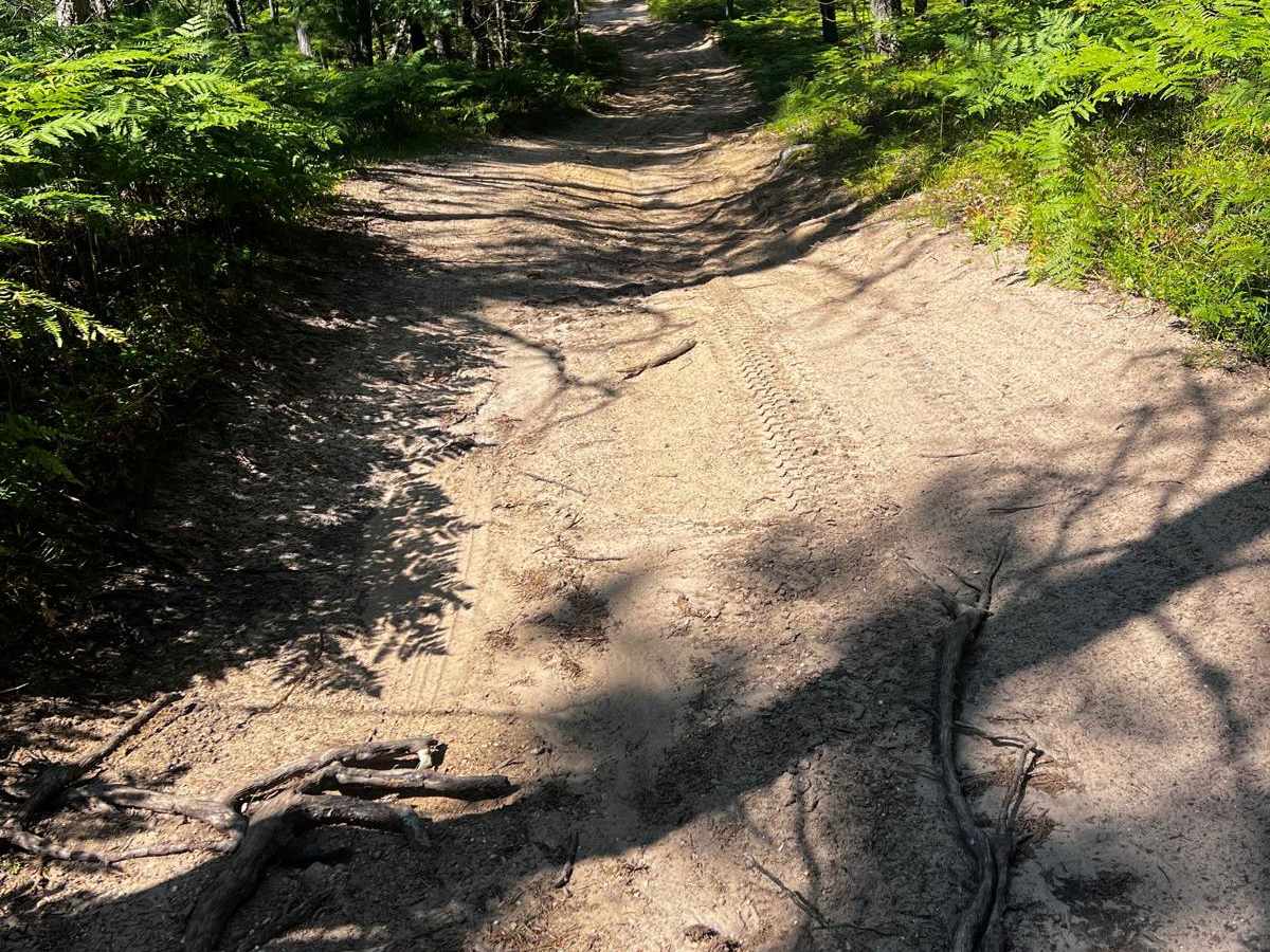Spider Leg Trail photo 5