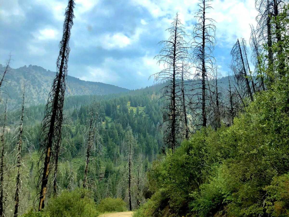 Trinity Lakes Mountain Trail photo 4