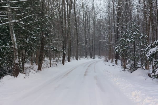 Covered Drive