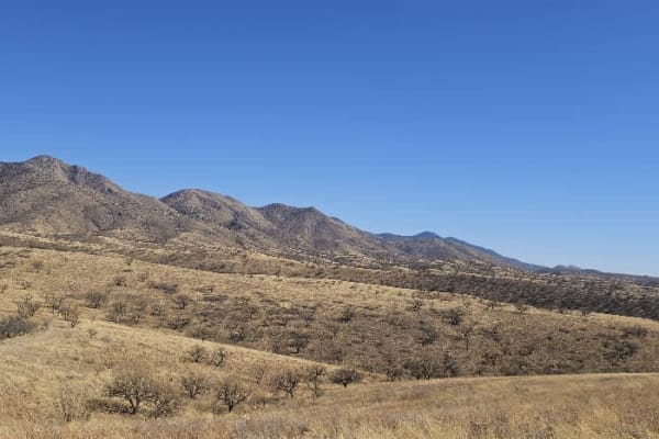 Grande Forest Road