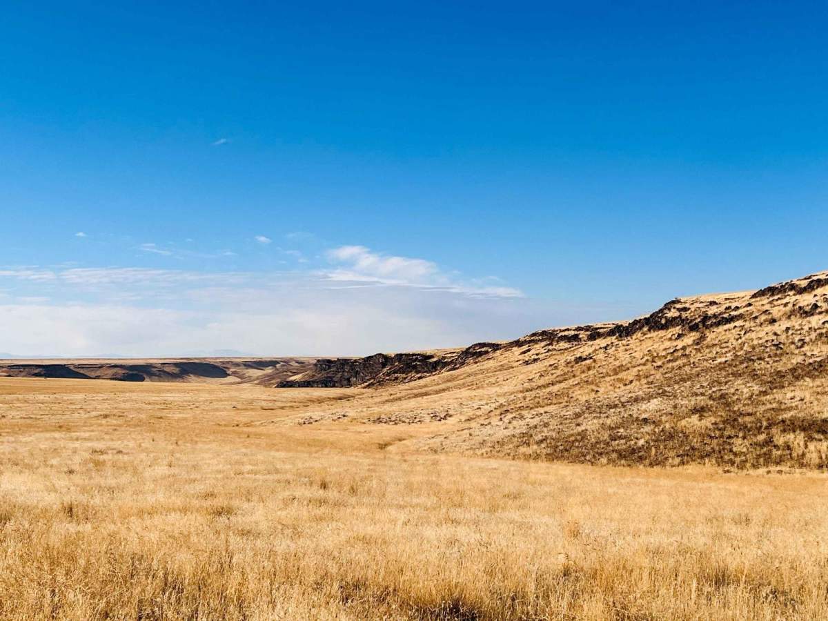 Robinson Trail Head photo 6