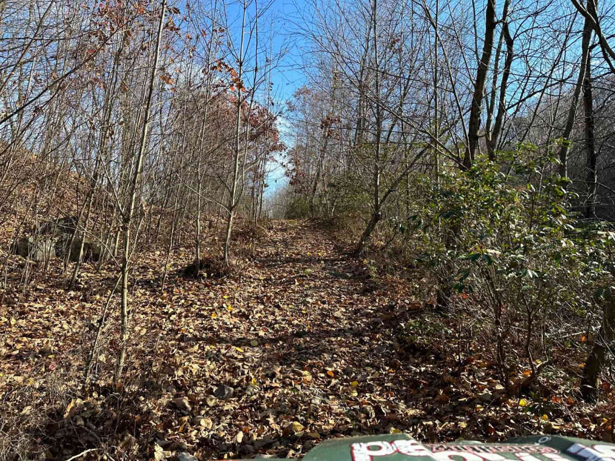 Ashland 153 photo 2