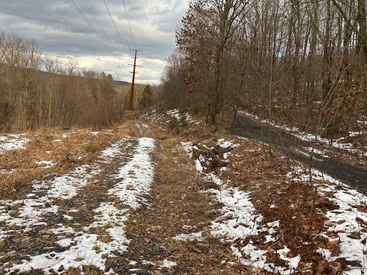 Ashland 88 photo 5