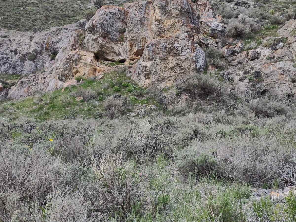 Hammond Canyon to Appendicitis Hill photo 6