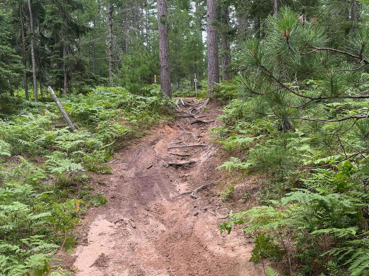 Pine Ridge Trail trail photo
