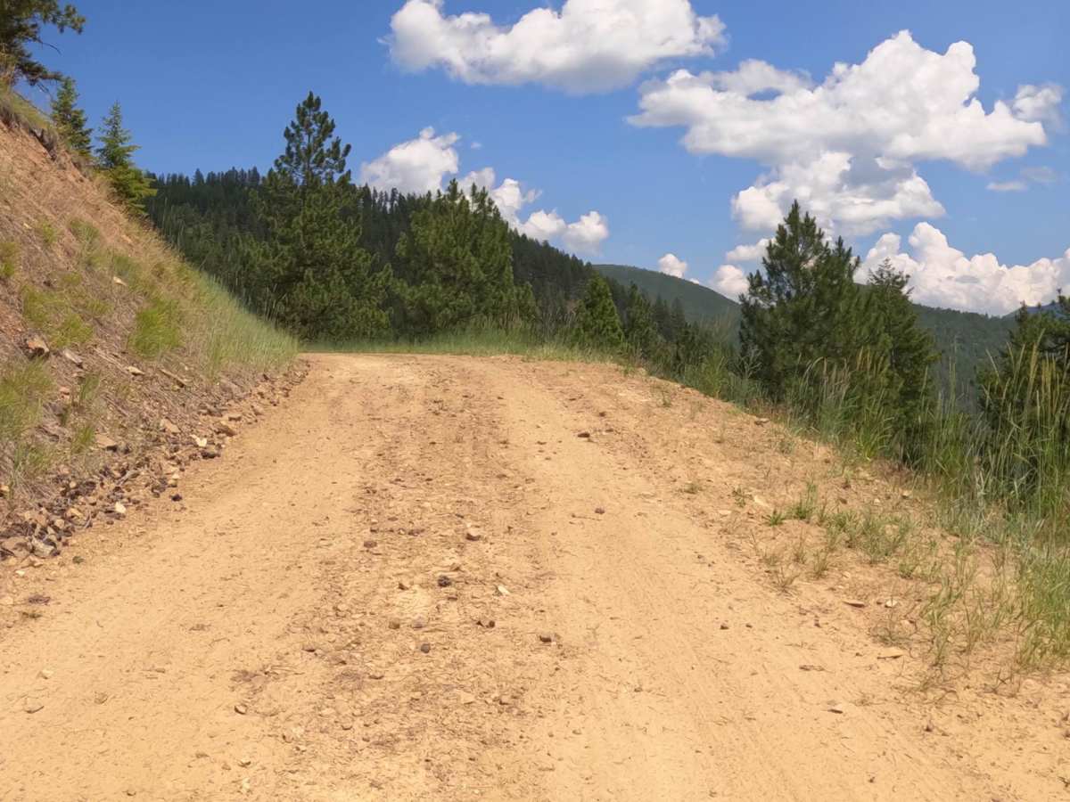 West Side Pardee Creek Road - Old Hwy 10 photo 3